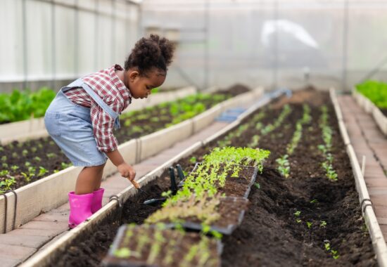 African black child playing planting the green tree gardening in agriculture farm