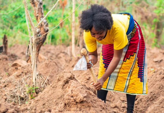 african farmer digging ridges on her farm